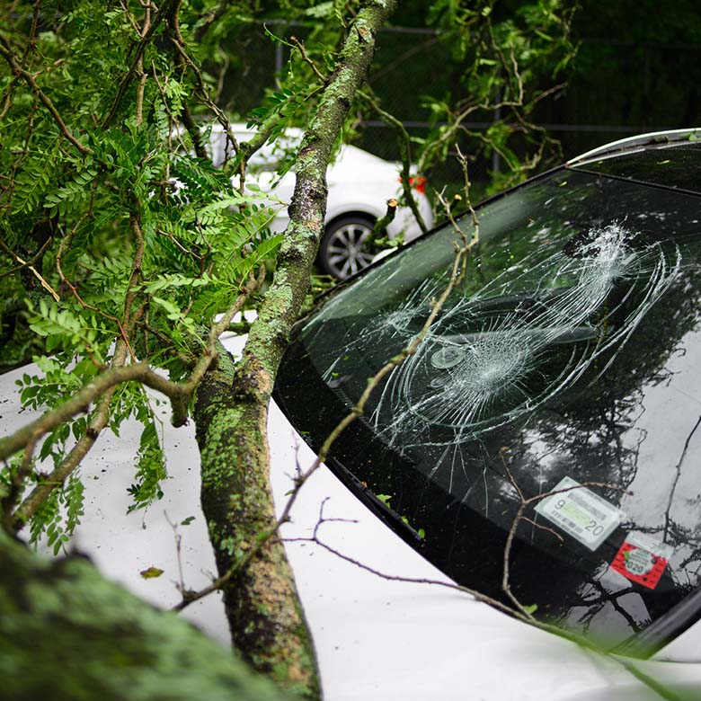 Eugene Auto Insurance Accident